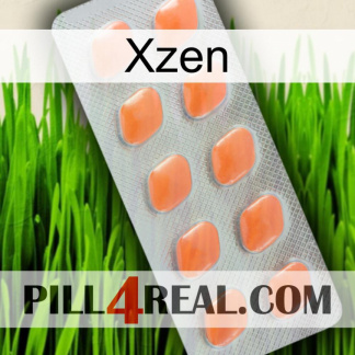 Xzen 26